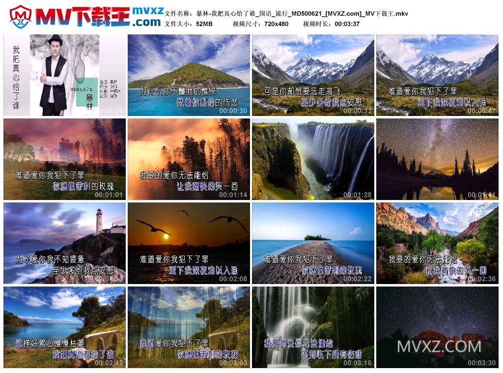暴林-我把真心给了谁_国语_流行_MD500621